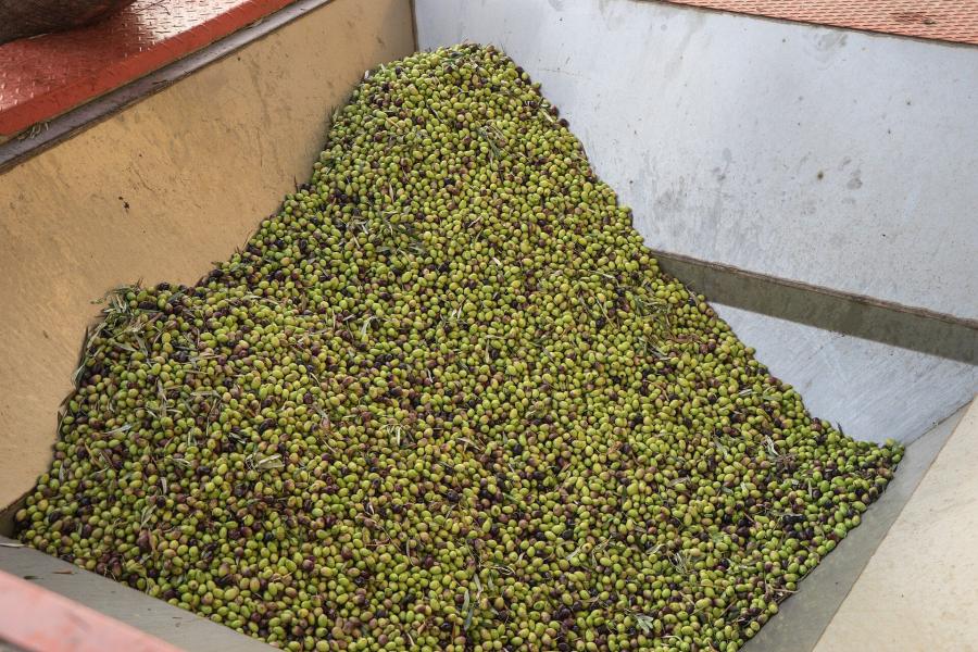 Huiles aromatisées